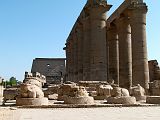 Louxor Temple Cour Colonnade 52m 0050